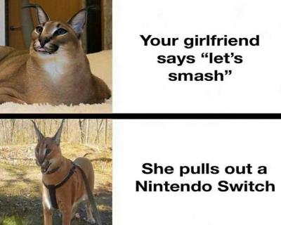 Random Memes and Jokes (92) Thumbnail